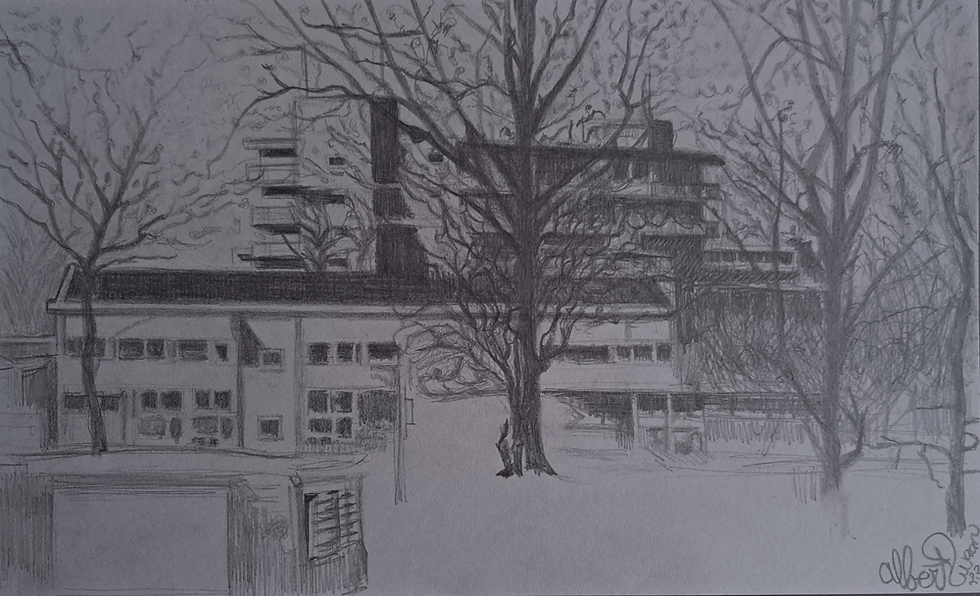 Flat (Nagtegaalplaats) en de Louise de Colignyschool, gezien vanaf de Vlijhaven/Tijpoort