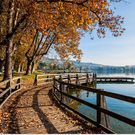 CASTELLINI VARESE