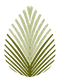 PALM GREEN