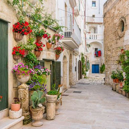 RESIDENZE CAMICIA