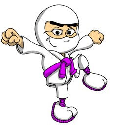 Cyber Ninja poised to defend against evil-doers