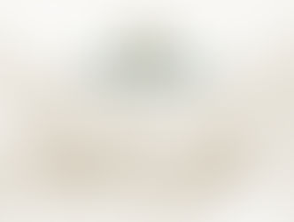 New Brabham Merchandise clothing line just landed. Brabham Heritage x Park London