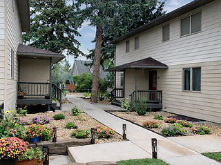 ChatGPT Image Feb 18, 2026 at 03_13_25 PM.png