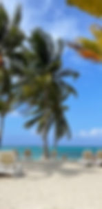 beachchairs