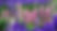 lupine-799002_1920.jpg