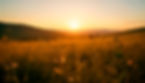 beautiful-natural-landscape.jpg
