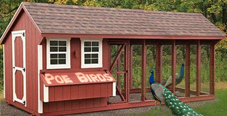 Peacock Pen