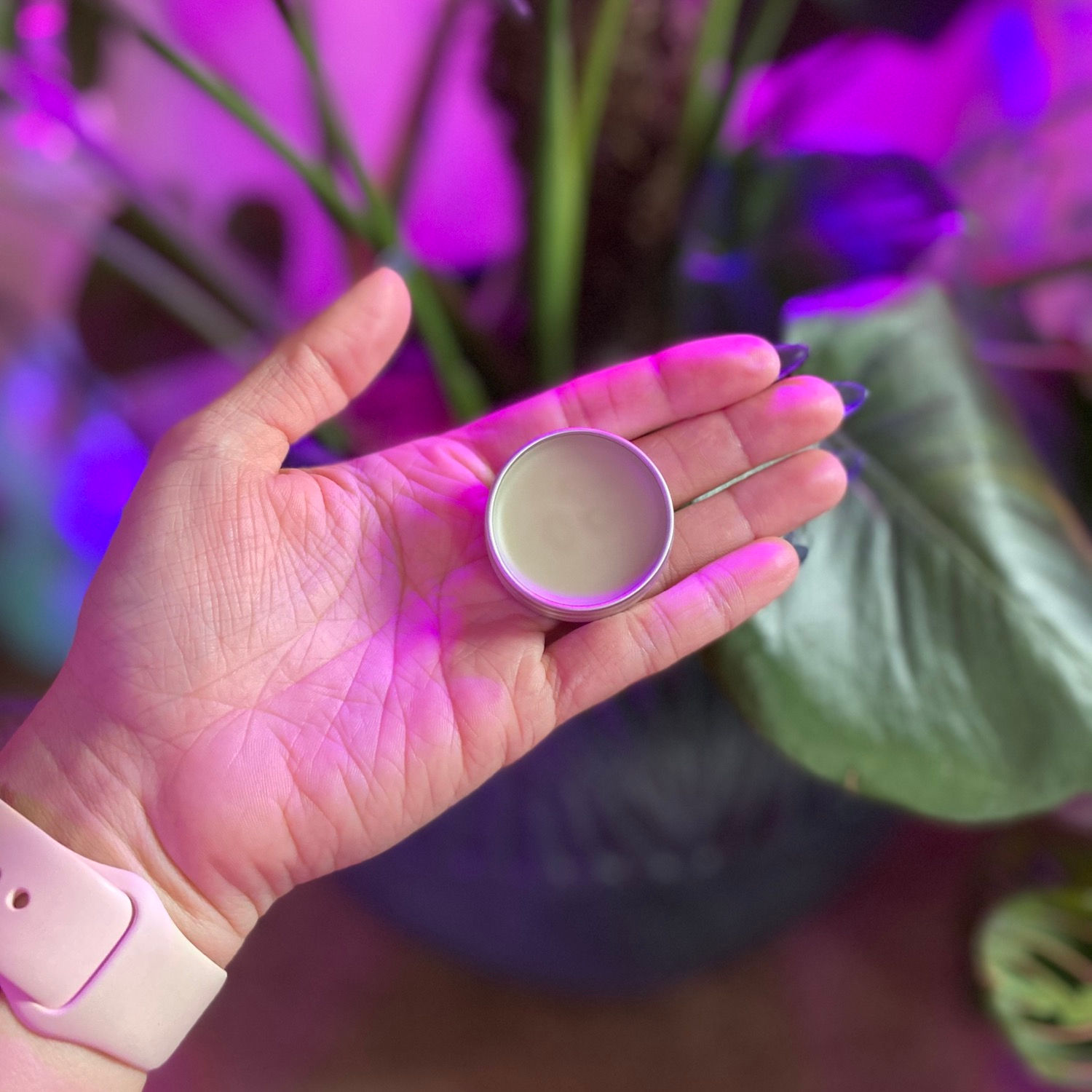 Lavender Lemonade Lip Balm