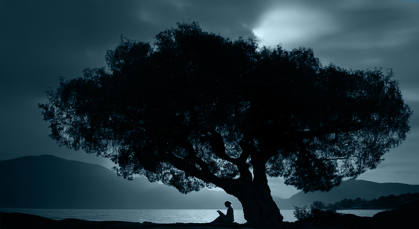 Serene silhouette of a woman reading under a tree at sunset near water, used as a calming visual for Cypress Counseling SC’s therapy blog in Charleston, South Carolina — evoking peace, reflection, and emotional grounding.