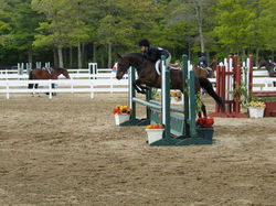 48B6E302-7292-49E8-BA81-A13E9AFC2B8F_1_105_c