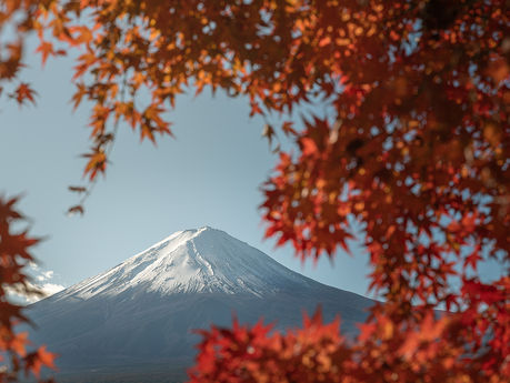 Les Préfectures du Japon : Fonctionnement et Particularités des 8 Principales Régions
