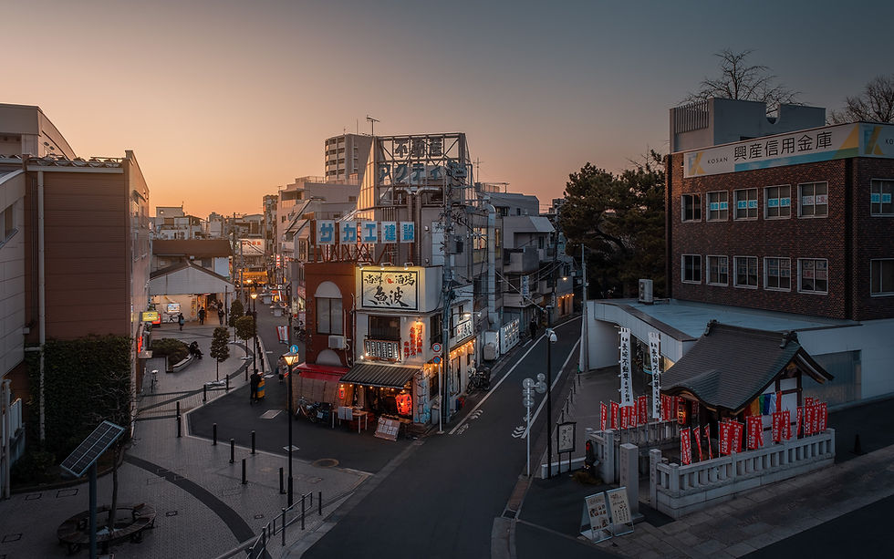 Prendre un guide au Japon