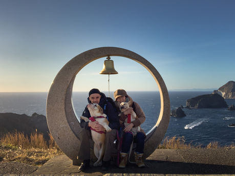 Vivre avec des chiens au Japon : Une aventure enrichissante