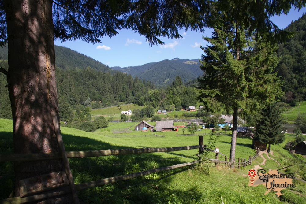 Beautiful village view from the wood