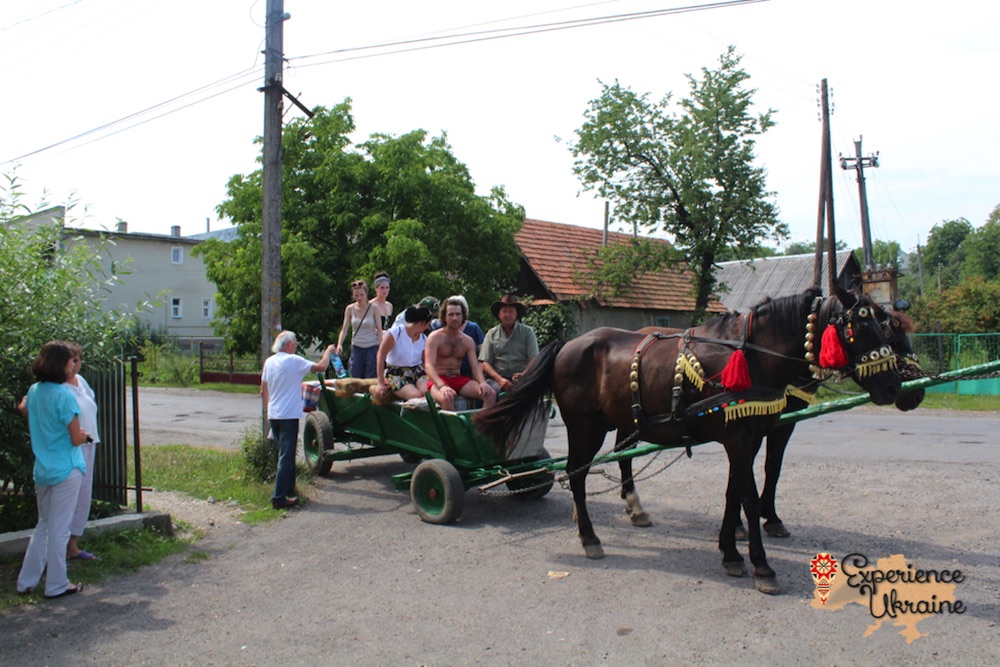 Horse and cart drive 2012