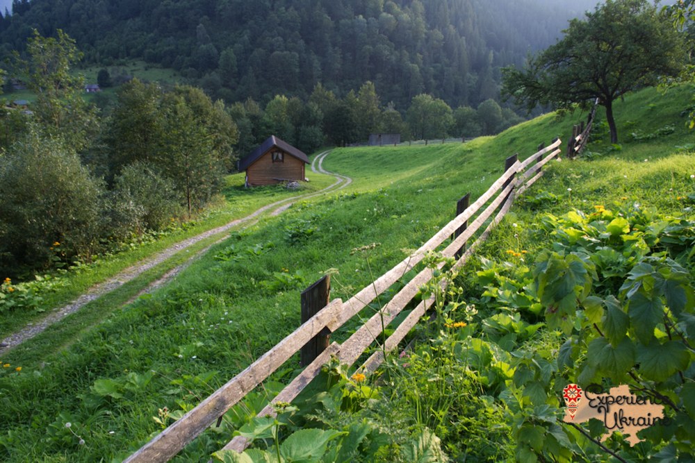 View from guesthouse in Dzembronya