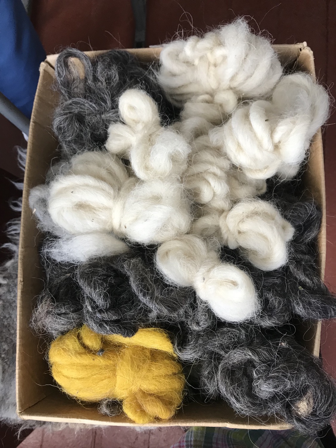 hands-on gushkas of wool for weaving.