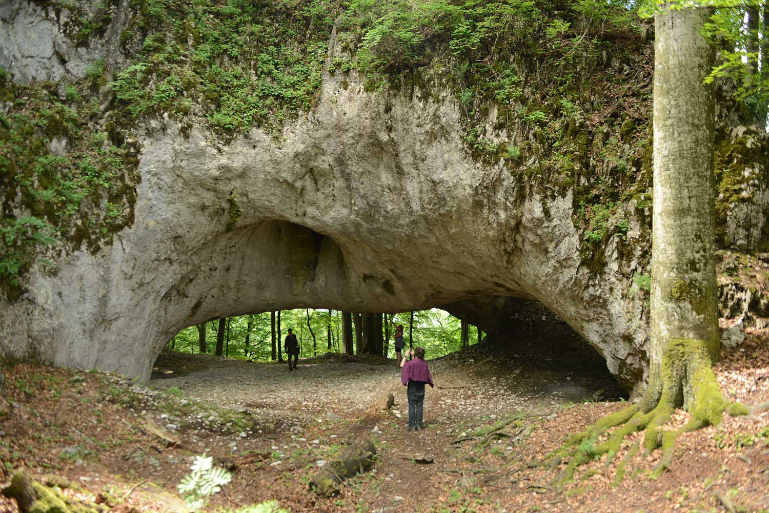 Carpathian Biosphere Reserve in Mala Uholka, Transcarpathia, Ukraine. Photo by William Watson