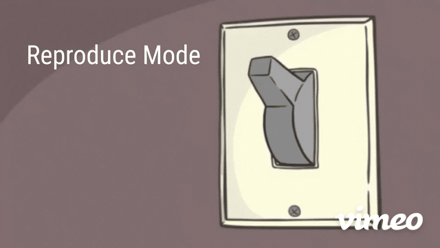 SWITCH MODE-low.gif
