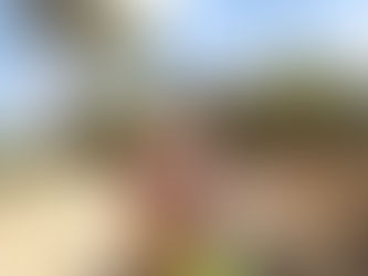 שגרת ספורט..23.10.2021