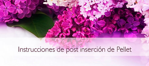 instruccion.jpeg