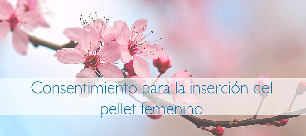 consentimiento.jpeg