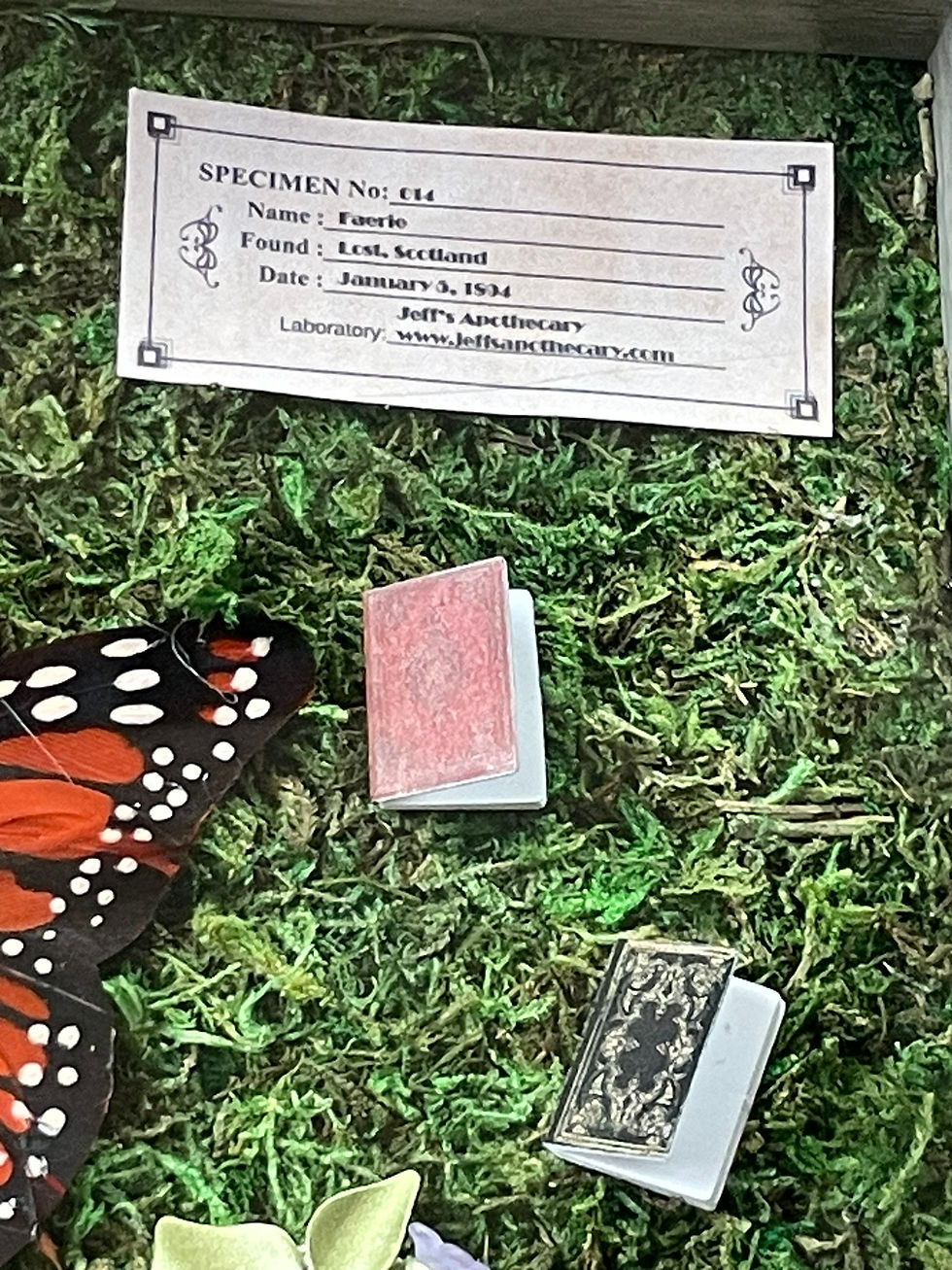 Thumbnail: Fairy Specimen #14