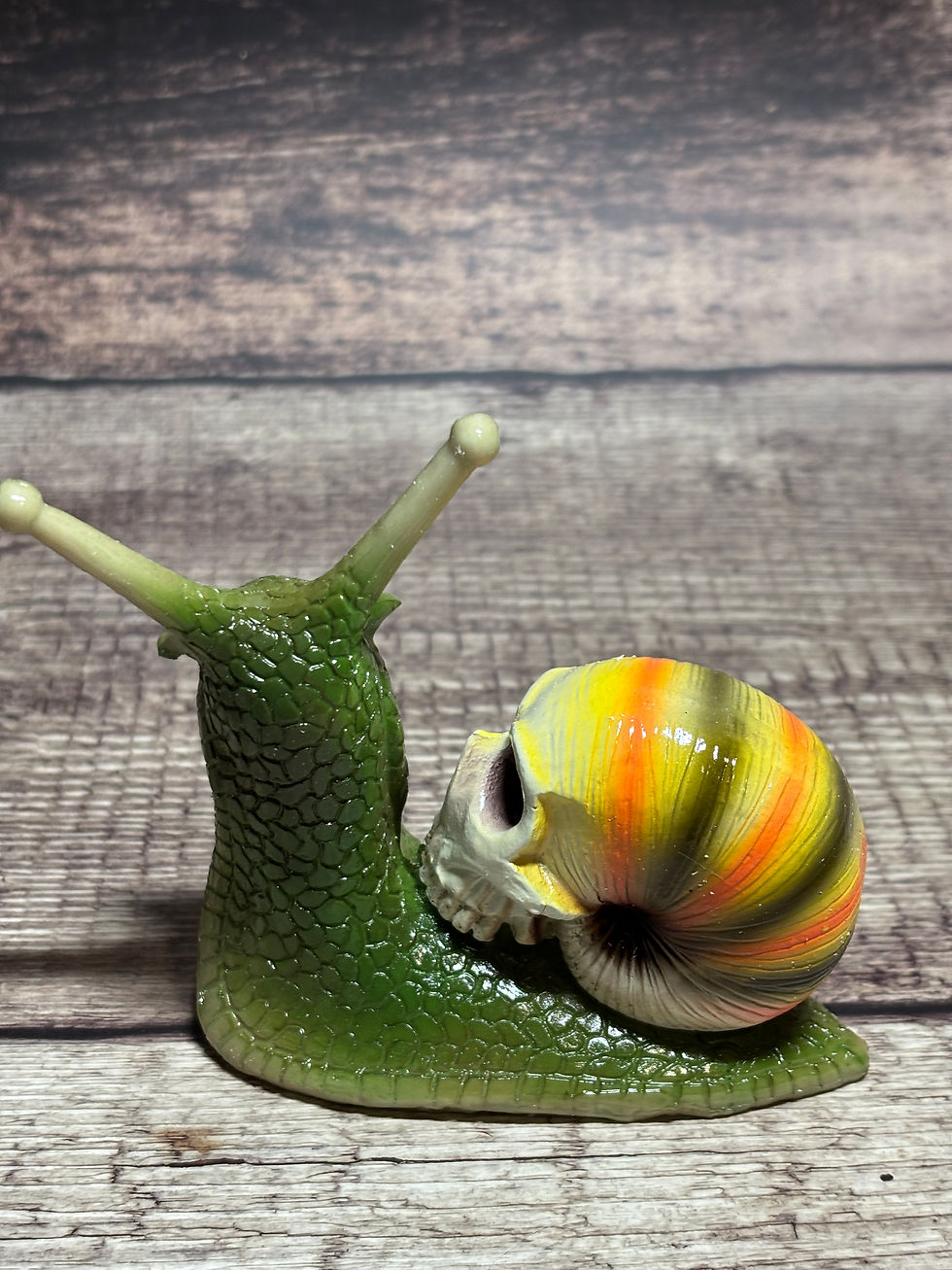 Thumbnail: Skull Snail -Green