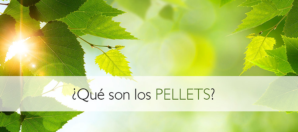 pelles.jpeg