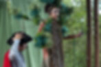 A Araucária e o Lambari