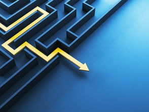 navigating the labyrinth of regulation