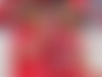 サッカー日本代表戦(10/12 金)観戦します(^^)