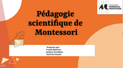 Pedagogie Scientifique Montessori