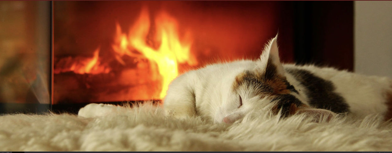 pum kachelofen kaminofen katze.jpg