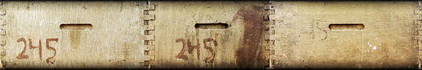 245, 2020, צילום צבע (1).jpg