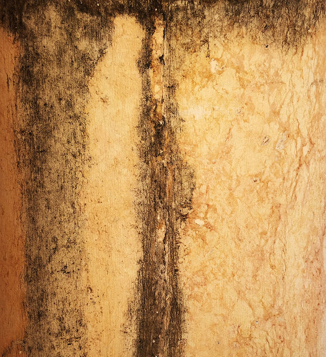 IMG_7173 (2)corrected.jpg