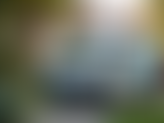 What a Mobile Vet Can Do (and When to Visit a Clinic Instead)