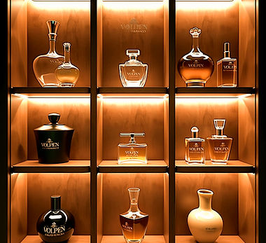 imagem_gerada (42)_edited_edited.jpg