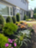 IMG_7804.jpeg