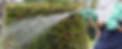 website 20.webp