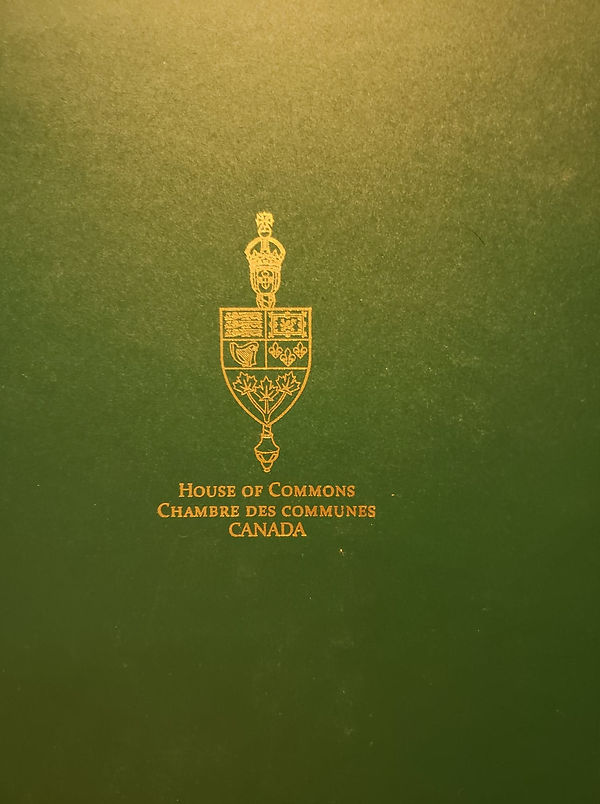 122451896_382987176163189_73180876002352