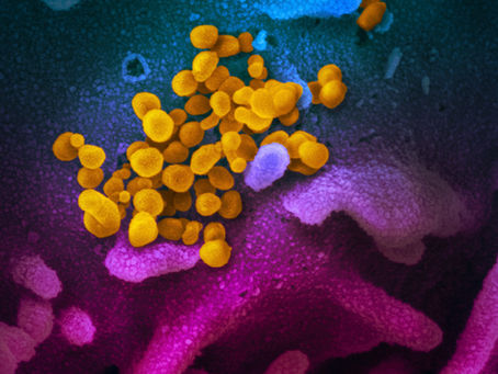 When "Real Life" Viruses Attack
