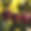 Thumbnail: Coffee