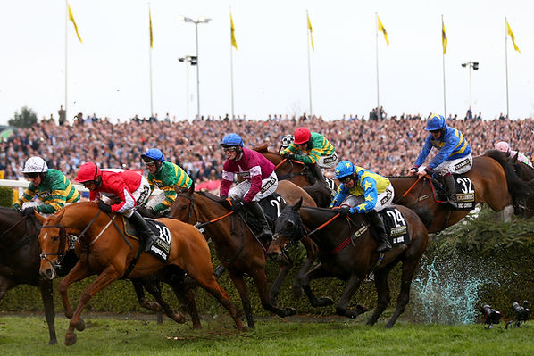 Grand National water jump.jpg