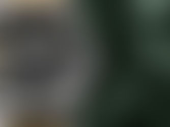 The Hidden Gems of Affordable Watch Brands: Why You Don’t Need a Mortgage for Good Timekeeping