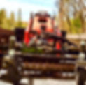 IMG_3257.jpeg