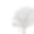 illustratie-boom-brasseriefloor.png
