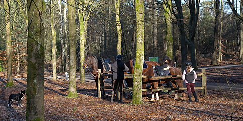 paardenstand-brasserie-floor-epe-1.jpg