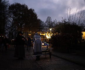 Winter-in-de-Vesting_elburg_2022-336.jpg