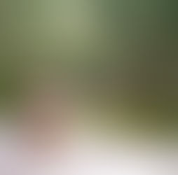 Vertrouwen in burn-out